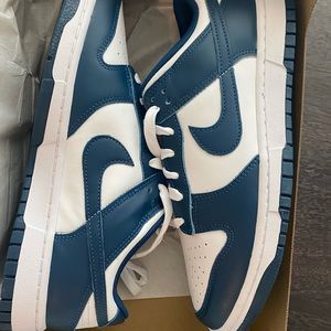COPY - NIB Nike Dunk Low Retro shoe in Valerian Blue.